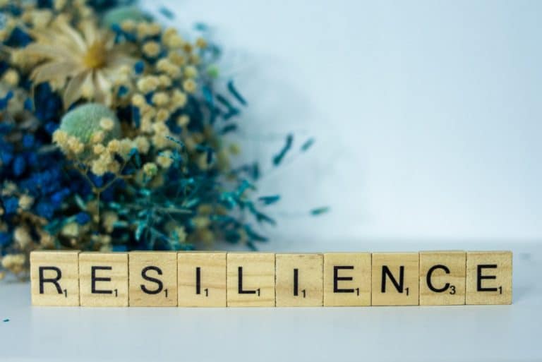 Read more about the article Building Resilience: Strategies for Overcoming Adversity