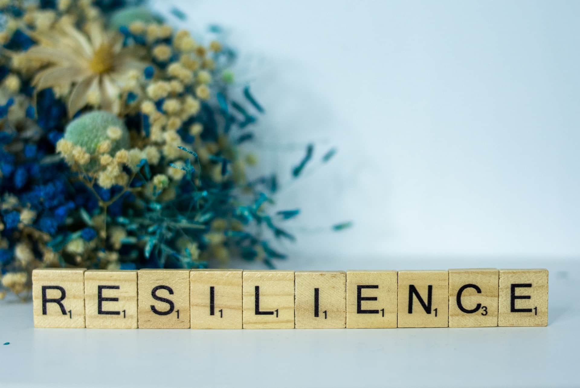 You are currently viewing Building Resilience: Strategies for Overcoming Adversity